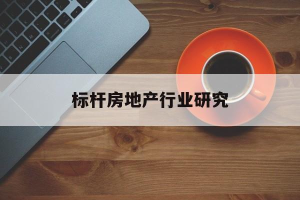 随州市标杆房地产行业研究(房地产领域的标杆人物)