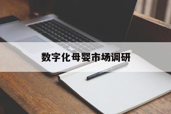 随州市数字化母婴市场调研(数字化母婴市场调研报告)